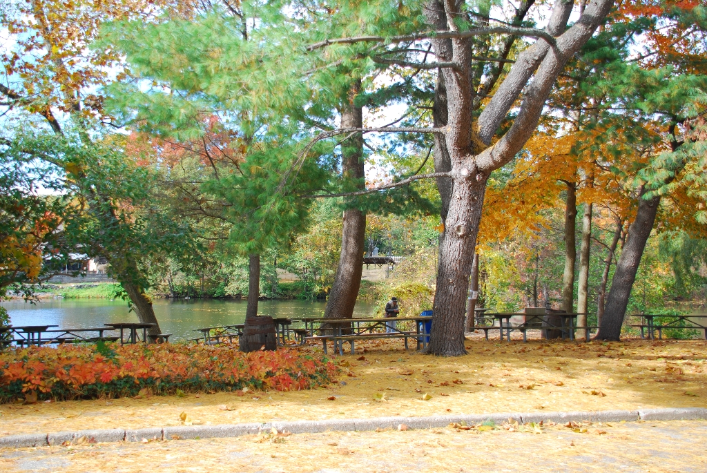 DSC_3892.JPG